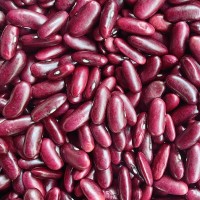 批發(fā)云南特產(chǎn)新貨四季豆 紅腰豆緬甸紅腰豆 紅蕓豆大紅豆五谷雜糧